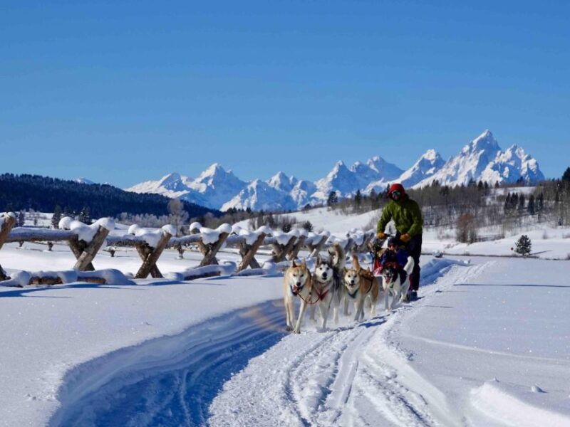 jackson-hole-dogsledding-tour-with-hot-chocolate