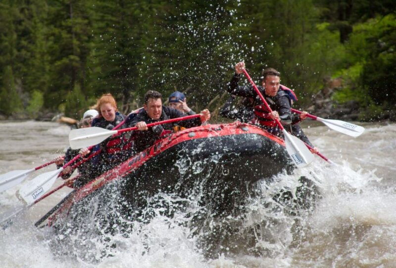 jackson-snake-river-class-2-3-whitewater-rafting-adventure