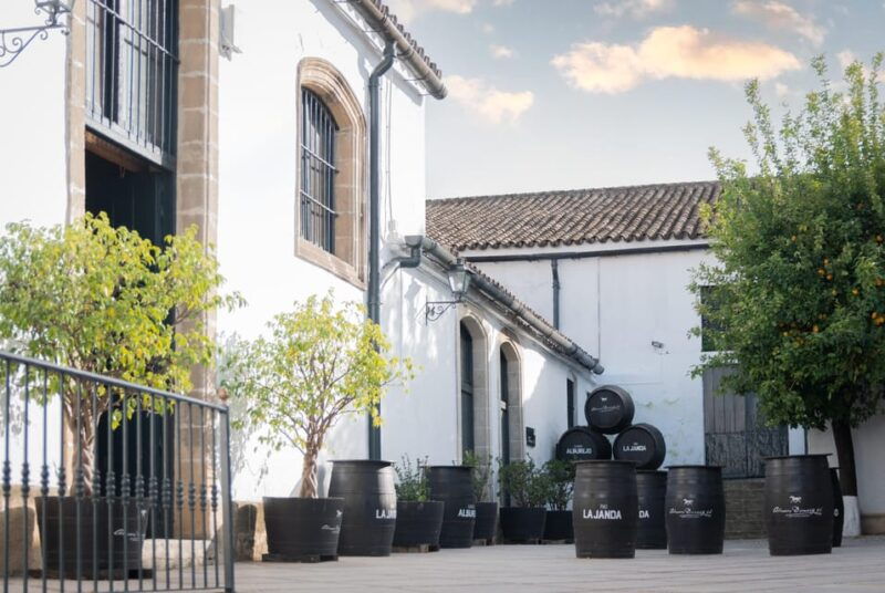 jerez-bodegas-alvaro-domecq-guided-tour-with-wine-tasting