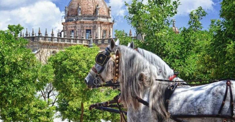 jerez-historic-center-guided-tour