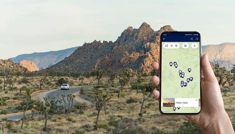journey-into-joshua-tree-audio-driving-tour-and-local-guide