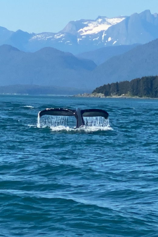 juneau-mendenhall-glacier-and-whale-watching-tour