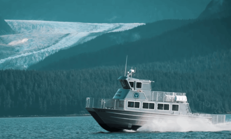 juneau-whale-watching-and-wildlife-cruise-with-local-guide
