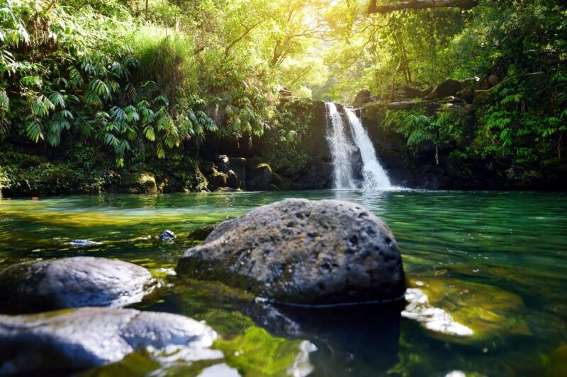 kahului-guided-rainforest-and-waterfall-walk