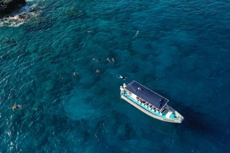 kailua-kona-big-island-morning-snorkeling-tour-with-lunch