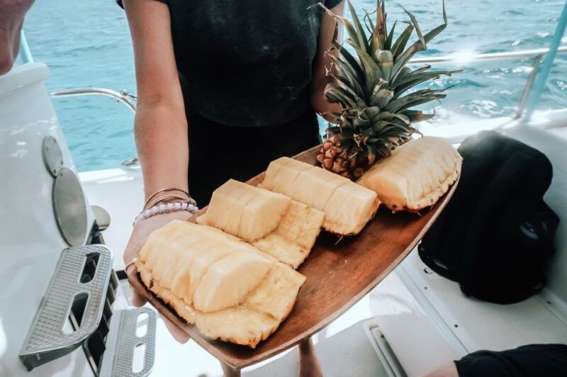 kailua-kona-dolphin-watch-speedboat-snorkel-cruise-and-bbq