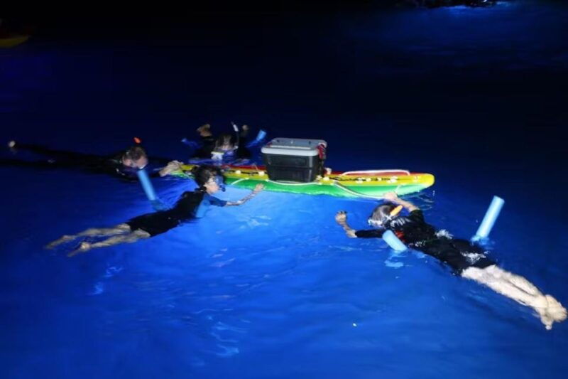 kailua-kona-manta-ray-spotting-night-snorkeling-tour