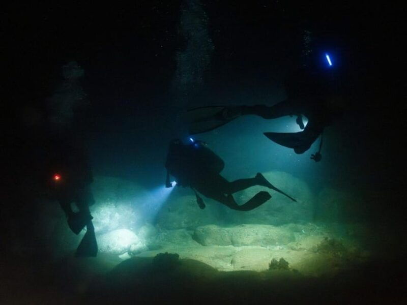 kauai-twilight-night-shore-dive-experience