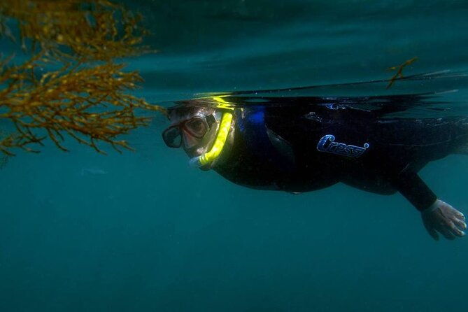 kayak-and-snorkeling-adventure-in-arrabida