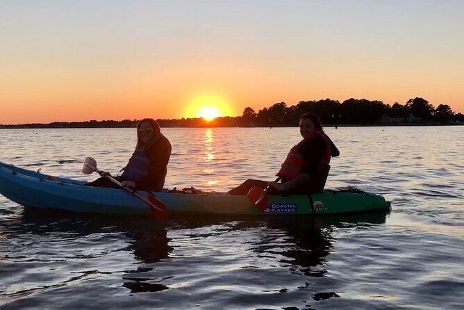 kayak-dolphin-experience-in-virginia-beach-must-know-how-to-swim