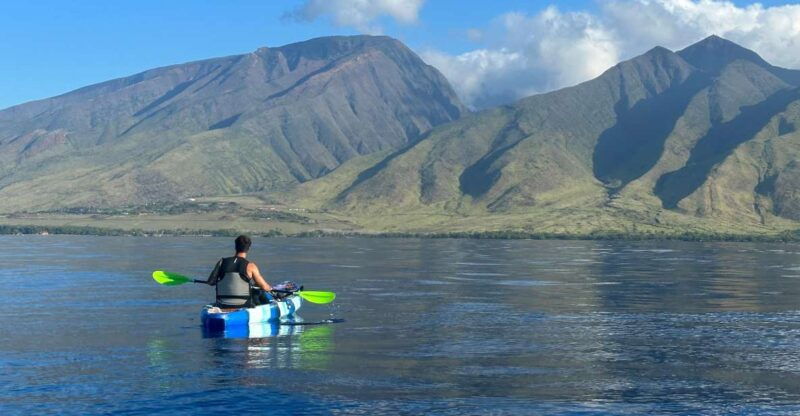 kayak-whale-watch-and-snorkel-at-turtle-town