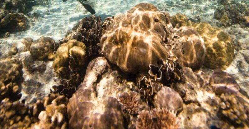 key-largo-scuba-refresher-course