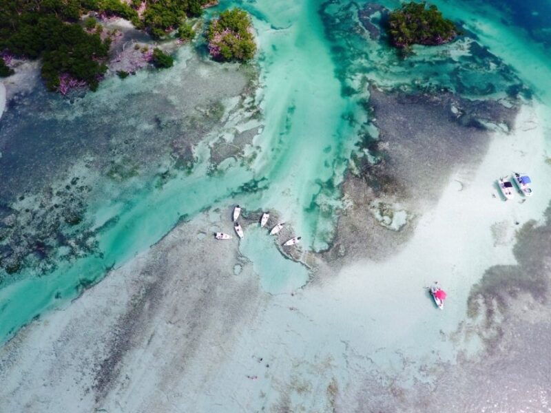 key-west-eco-safari-sandbar-tour-with-snorkeling