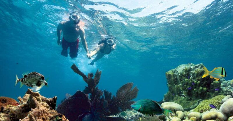 key-west-reef-snorkeling-with-drinks-and-sunset-option