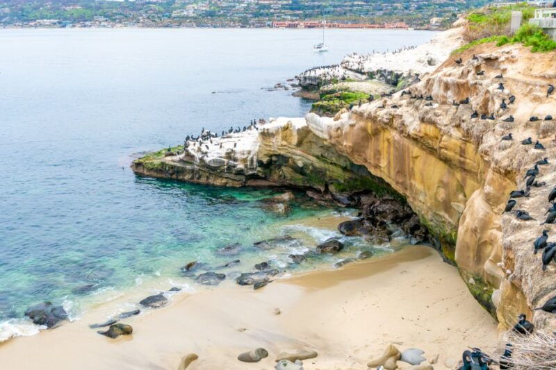 la-jolla-food-drink-walking-tour-sip-savor-sea
