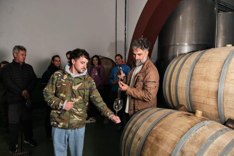 la-palma-bodegas-teneguia-winery-tour-with-wine-tasting