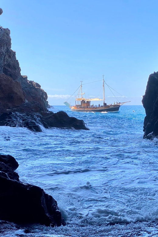 la-palma-bussard-premium-tour-marine-biology-nature