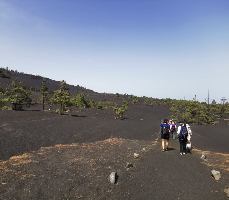 la-palma-guided-tour-to-tajogaite-volcano-with-transfer