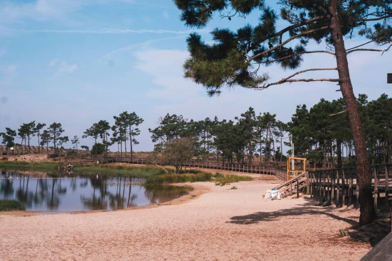 lagoa-da-ervedeira-e-bike-and-stand-up-paddle-tour