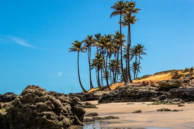 lagoinha-beach-tour-2