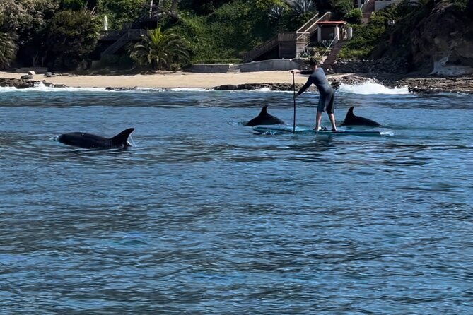 laguna-beach-stand-up-paddle-activity