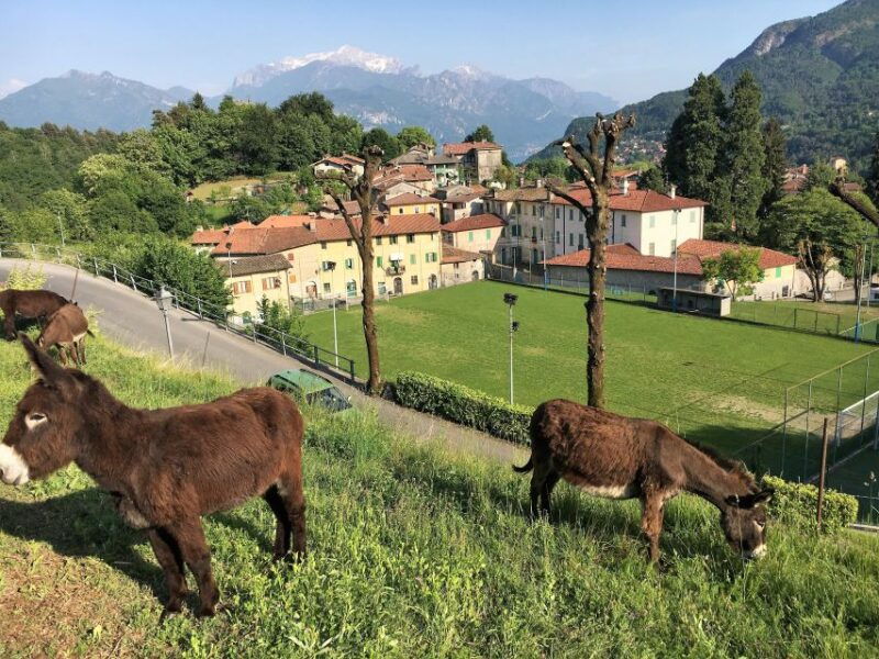 lake-como-to-lake-lugano-e-bike-three-panoramic-lakes