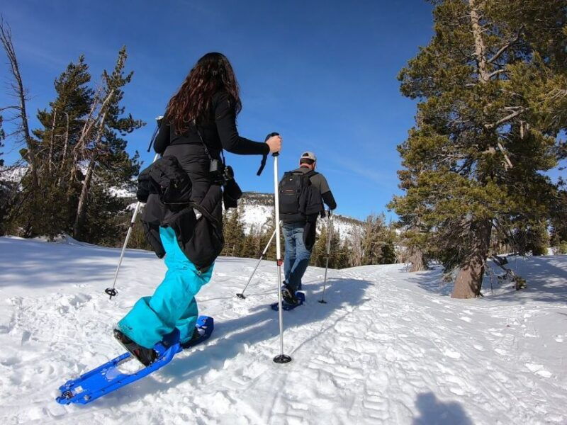 lake-tahoe-snowshoeing-guided-tour