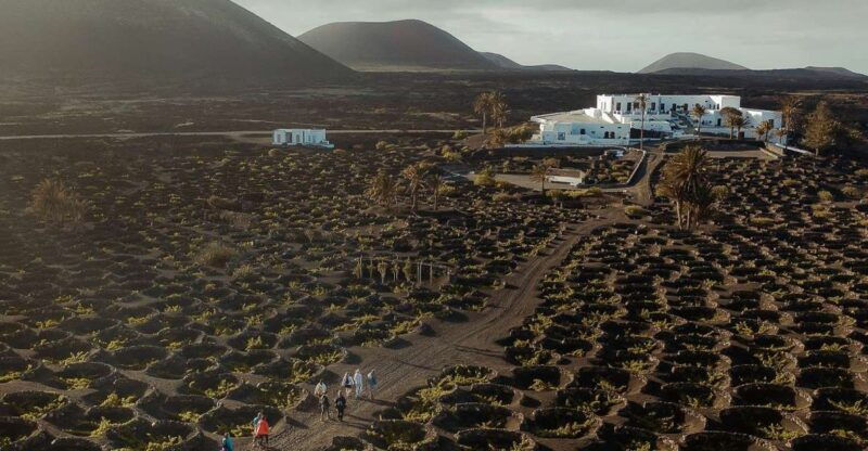 lanzarote-vineyard-tour-with-wine-and-chocolate-tasting