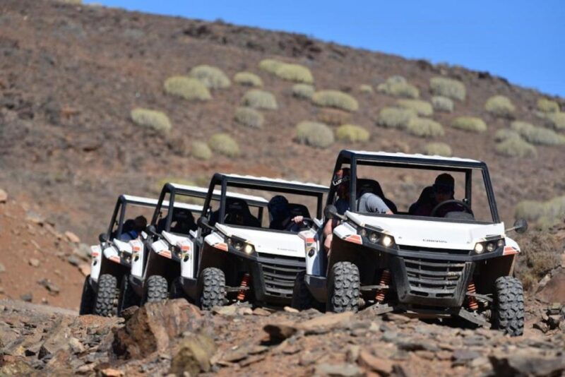 las-palmas-gran-canaria-guided-buggy-tour