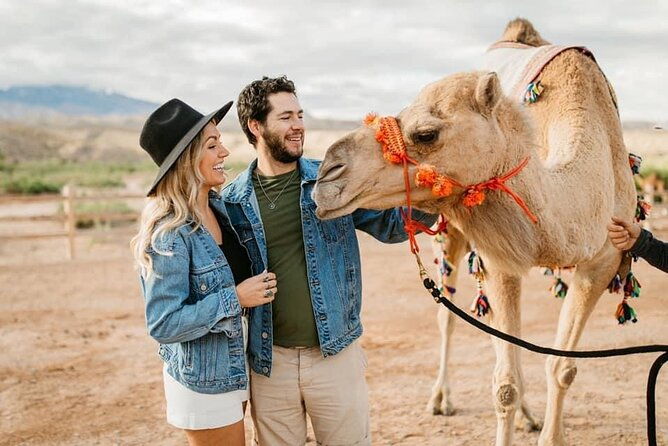 las-vegas-guided-utv-safari-and-zoo-tour