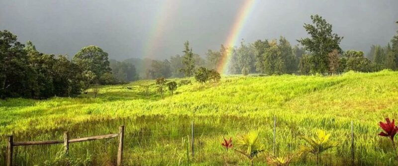 laupahoehoe-farm-animal-sanctuary-private-tour
