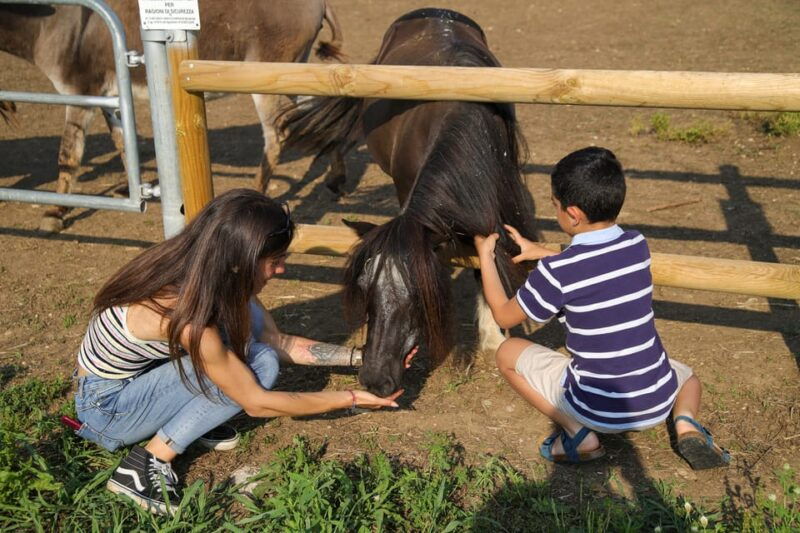 lazise-biodynamic-farm-tour-and-natural-wine-tasting