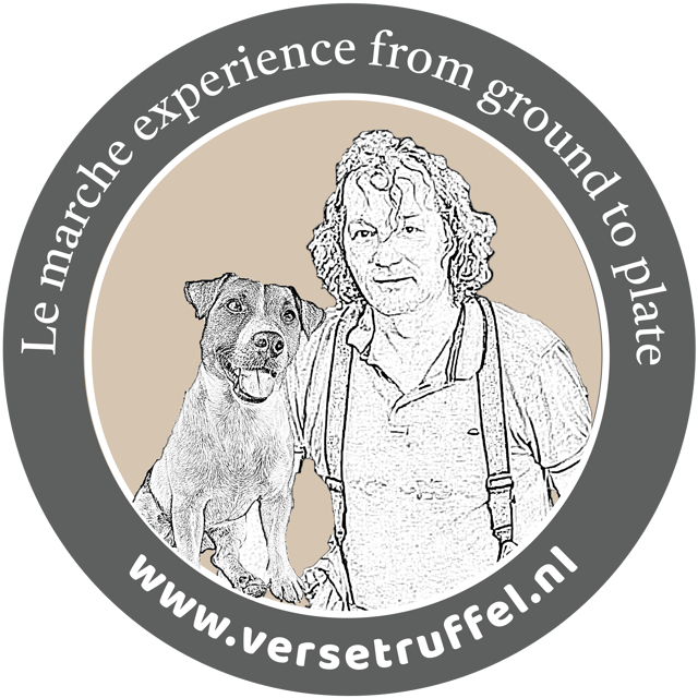 le-marche-cagli-truffle-hunting-experience