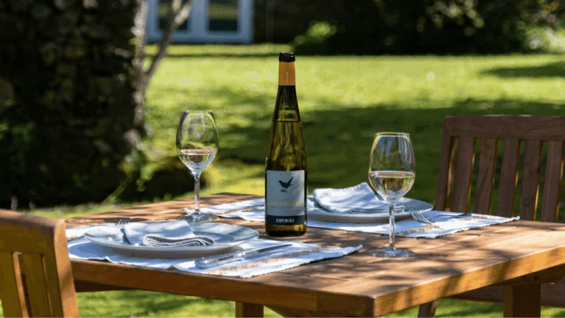 lima-valley-walk-with-wine-tasting-and-local-gastronomy