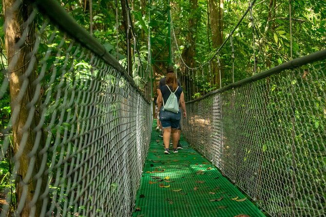 limon-rainforest-hanging-bridges-skywalk-tour-tortuguero-canals