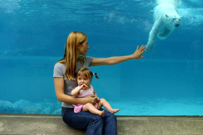 lincoln-park-zoo-scavenger-hunt
