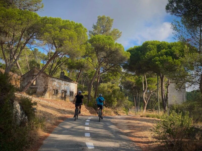 lisbon-e-bike-trip-from-the-sintra-mountains-to-cascais-sea