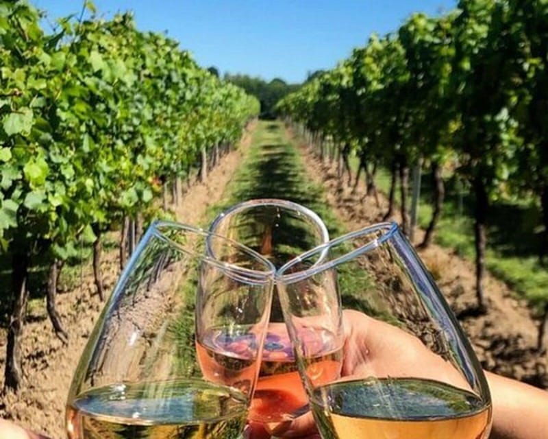 lisbon-setubal-arrabida-and-azeitao-private-wine-tour