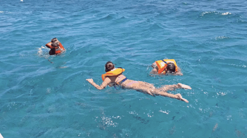lobos-island-guided-turtle-searching-tour-and-snorkeling