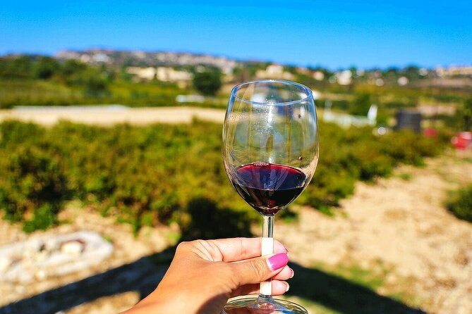 local-wineries-tour-with-wine-testing-from-paphos