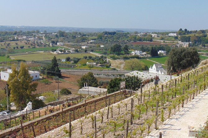 locorotondo-private-tour-a-charming-town-in-the-itria-valley