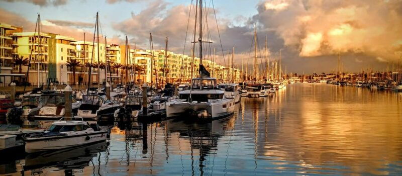 los-angeles-luxury-cruise-with-wine-cheese-sea-lions-2