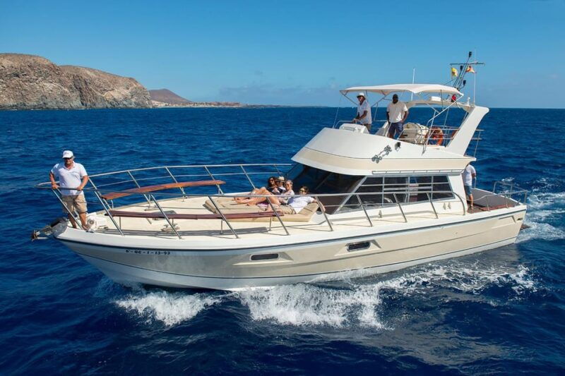 los-cristianos-whale-watching-tour-with-swimming-and-lunch-on-yacht-for-22-passengers