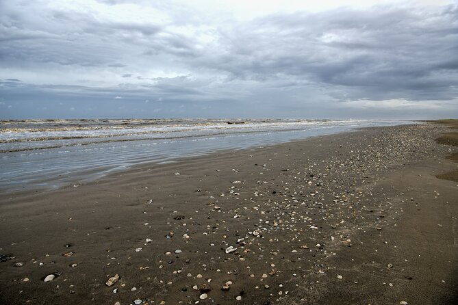 louisiana-creole-nature-trail-self-guided-audio-driving-tour