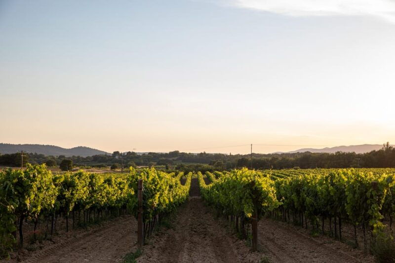 luberon-wine-by-the-glass-at-chateau-de-sannes