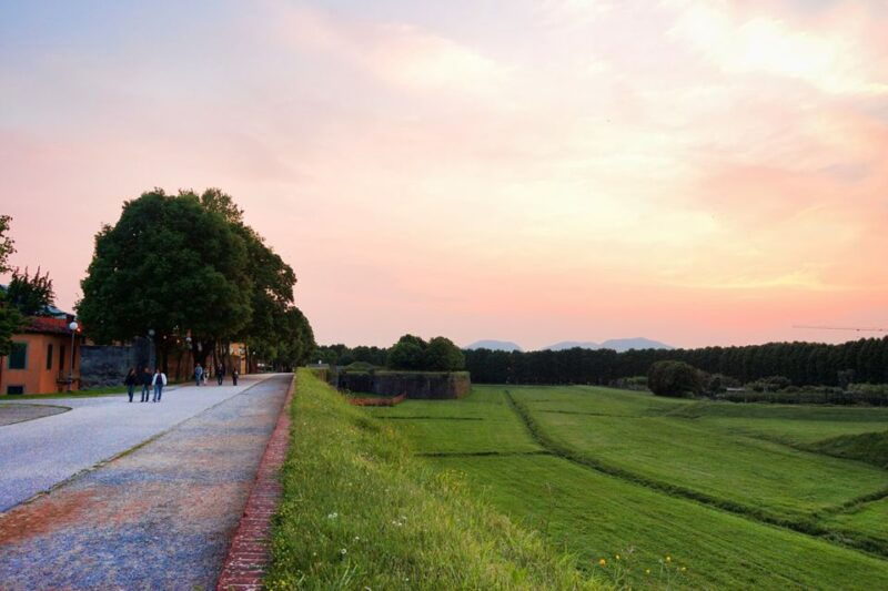 lucca-picnic-lunch-at-a-vineyard-by-bike