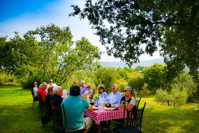 lunch-in-the-olive-grove