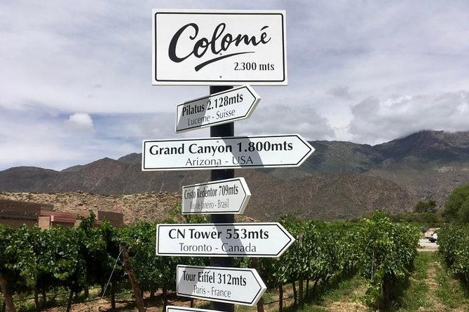 luxury-colome-wine-tour
