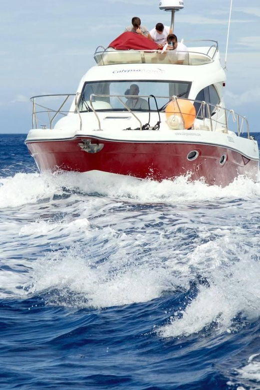 madeira-boat-trip