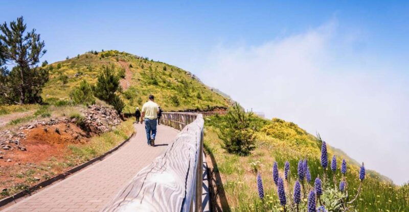 madeira-full-day-adult-only-east-4x4-tour